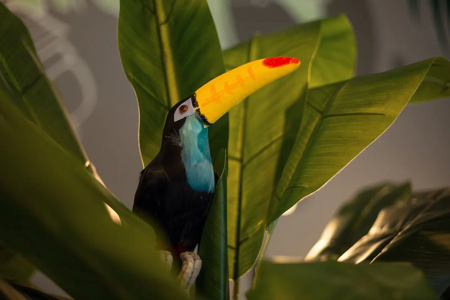 the niu Crusoe Tiere