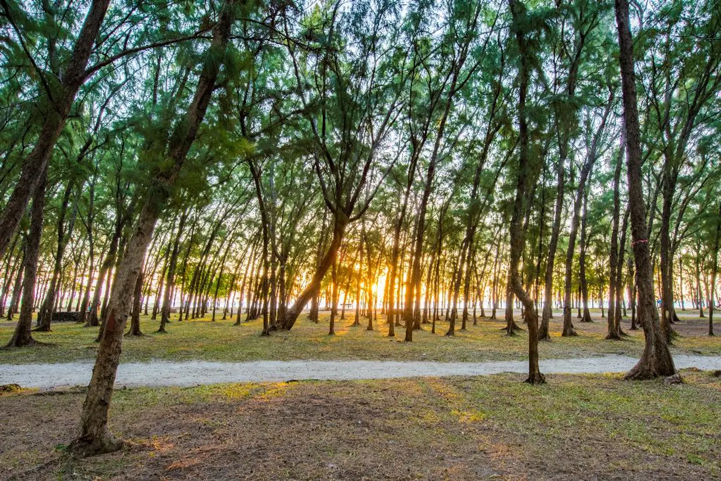 Mon Choisy Beach Resort LANDSCAPE