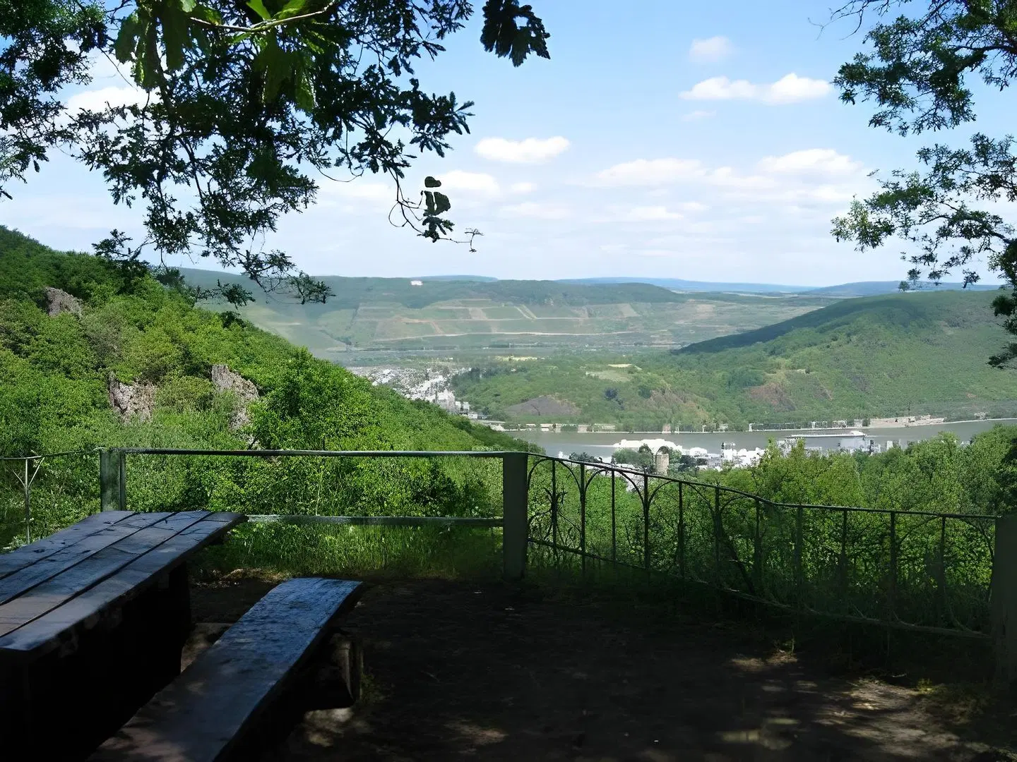 Baudobriga Rheinhotel LANDSCAPE