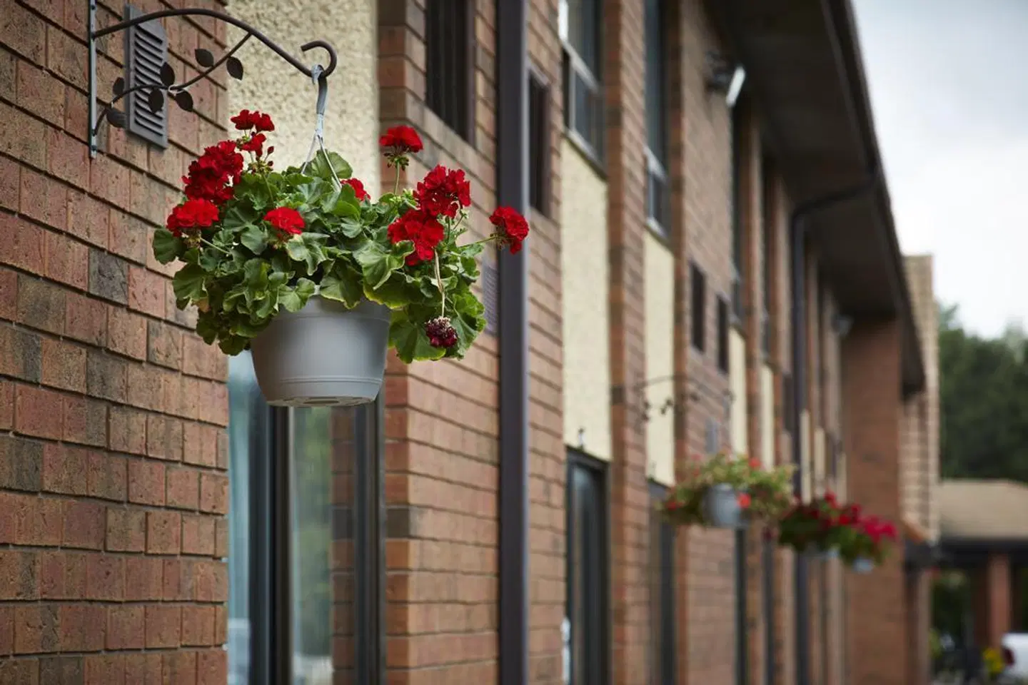 Comfort Inn Riviere-du-Loup EXTERIOR