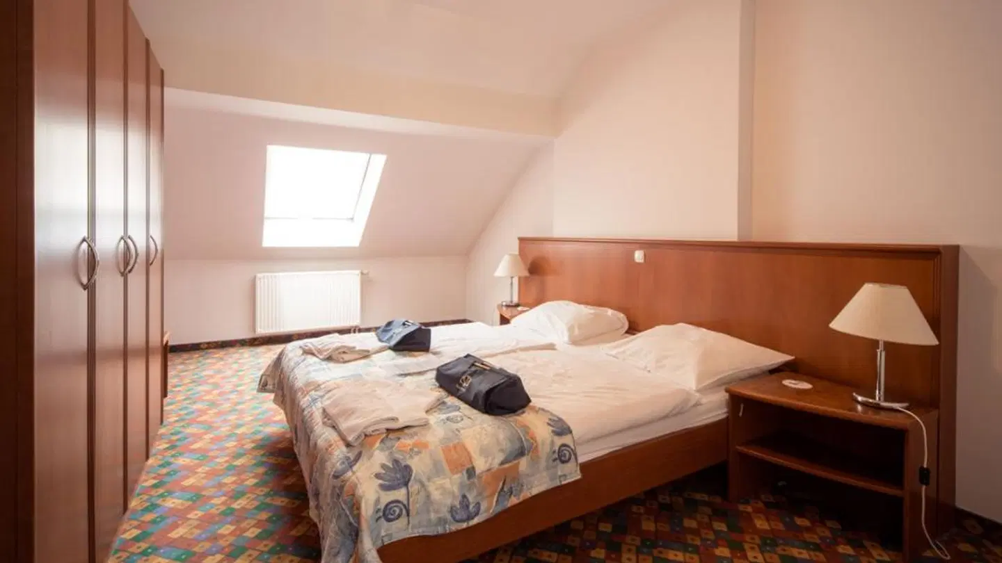 Terme Olimia - Aparthotel Rosa ROOM_EXAMPLE