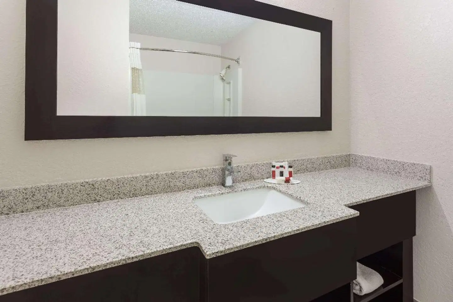 Ramada by Wyndham Asheville Southeast Badezimmer