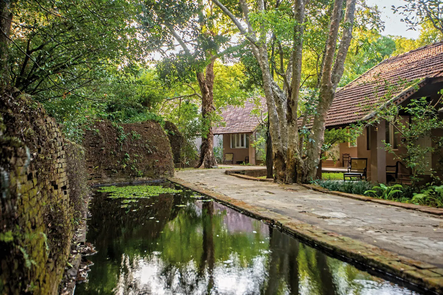 Sigiriya Village LANDSCAPE