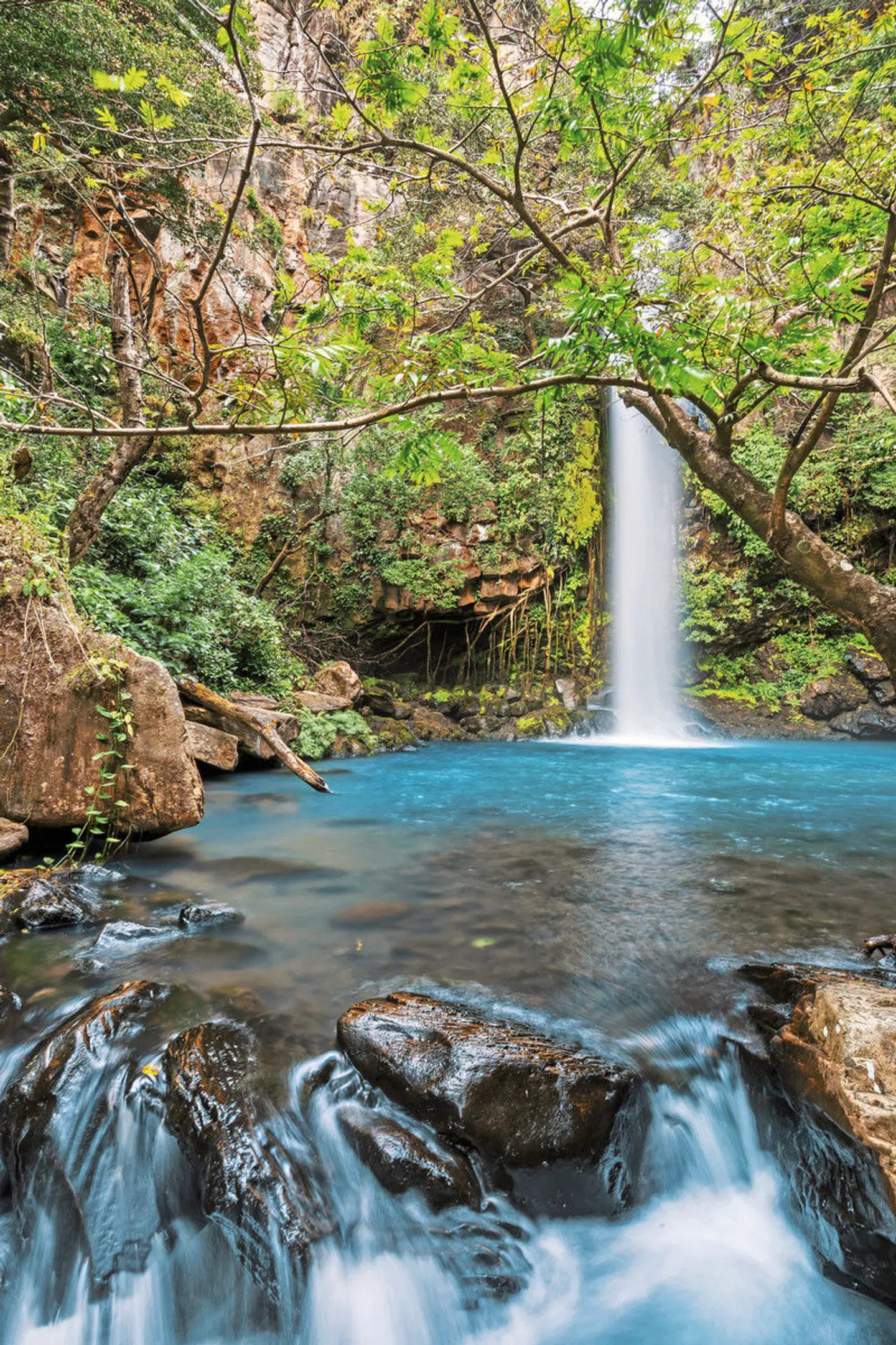 Traumstrände im Land der Ticos Garten
