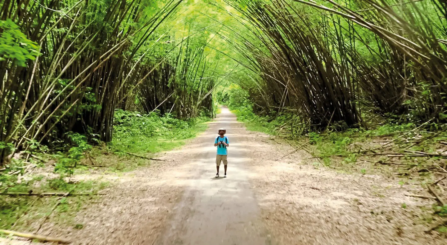 Trinidad Entdecken LANDSCAPE