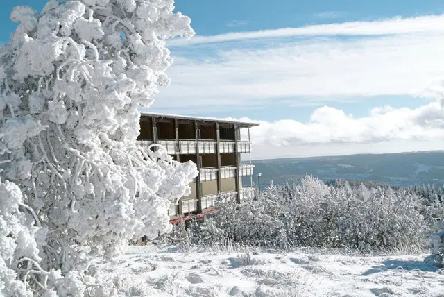 Wellness- & Nationalpark-Hotel Schliffkopf EXTERIOR