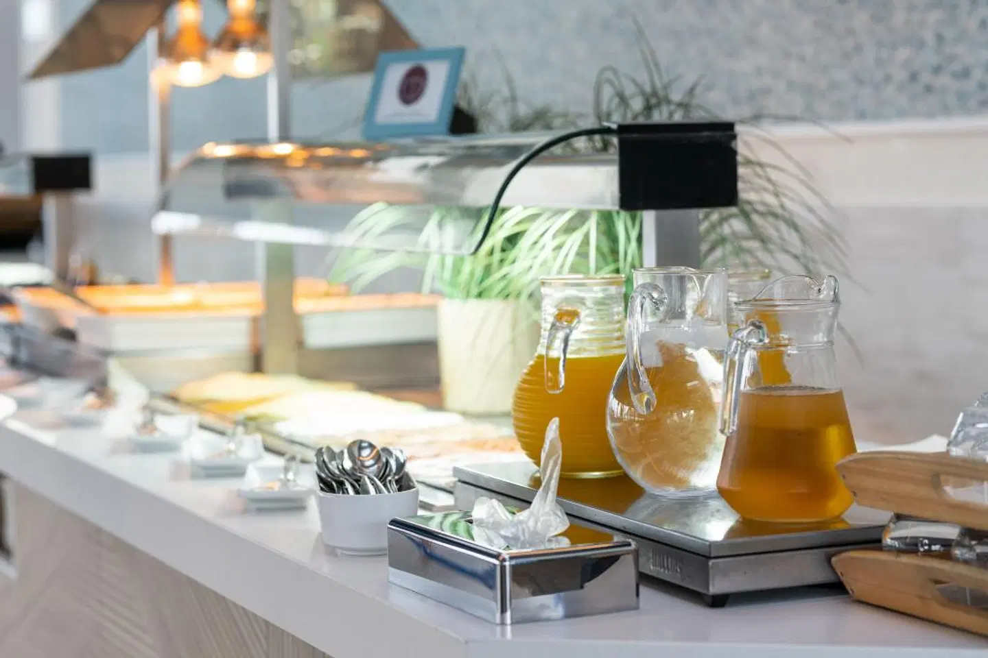 Hotel LIVVO Puerto de Mogán Restaurant