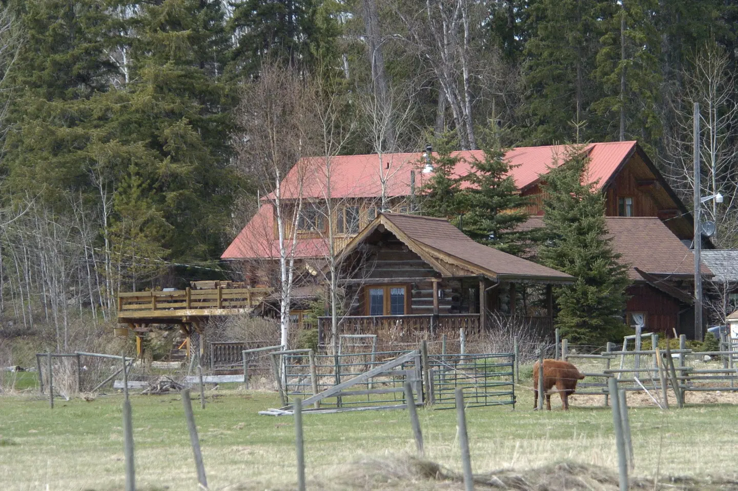 Nakiska Ranch Tiere