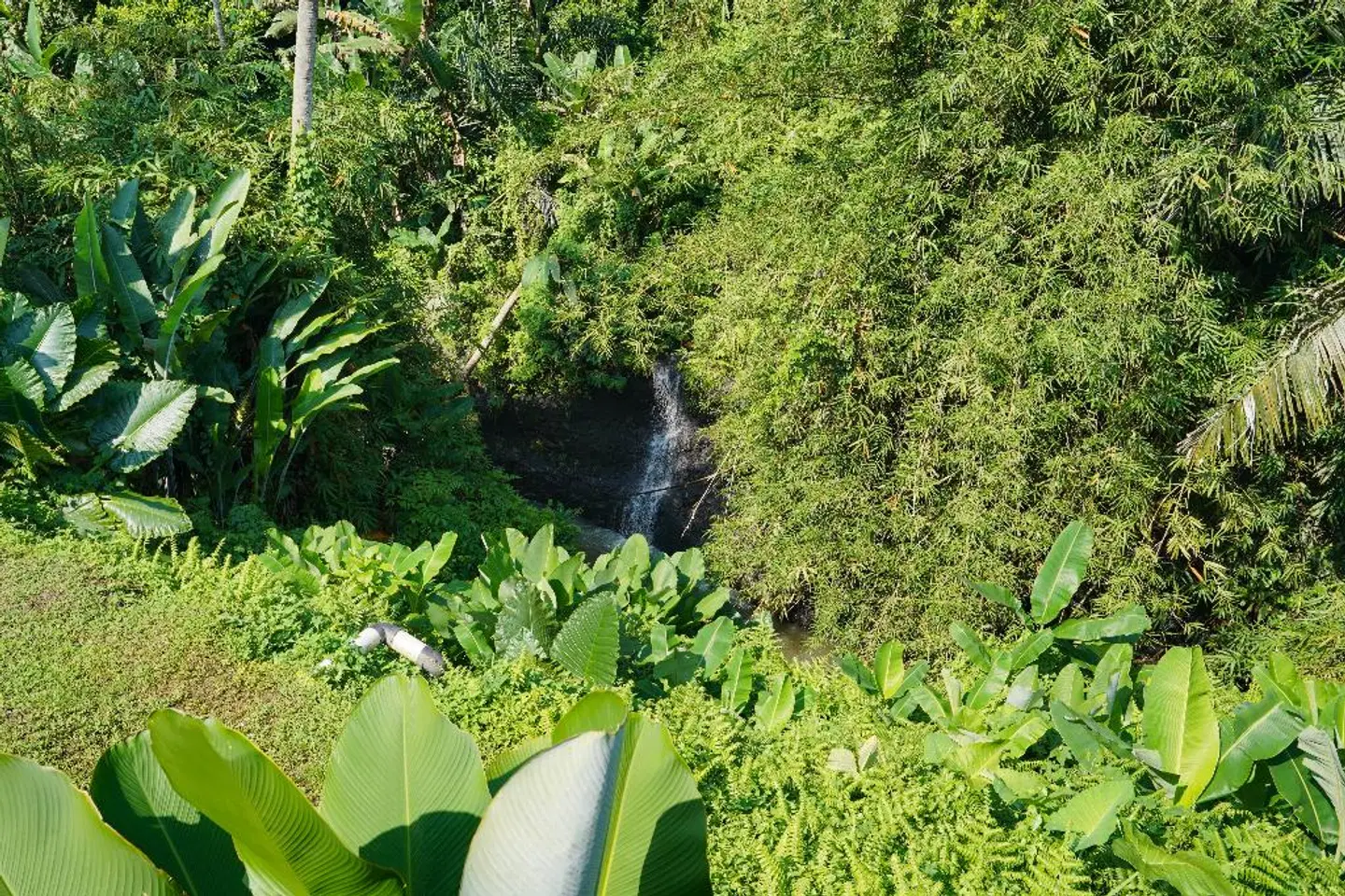 Pertiwi Bisma 1 Garten