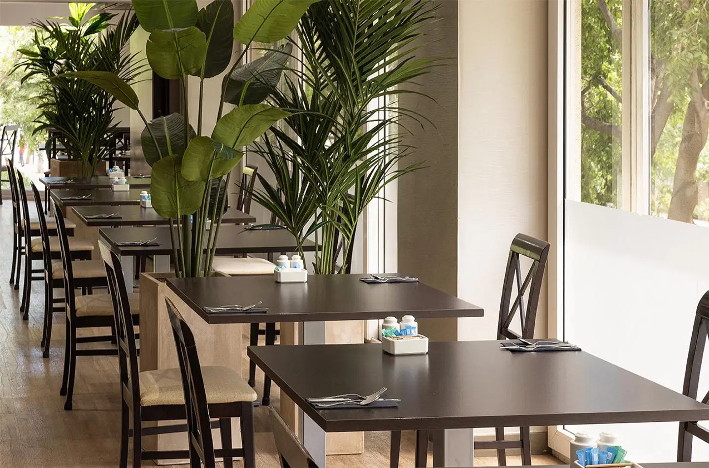 Catalonia Atenas Terrasse