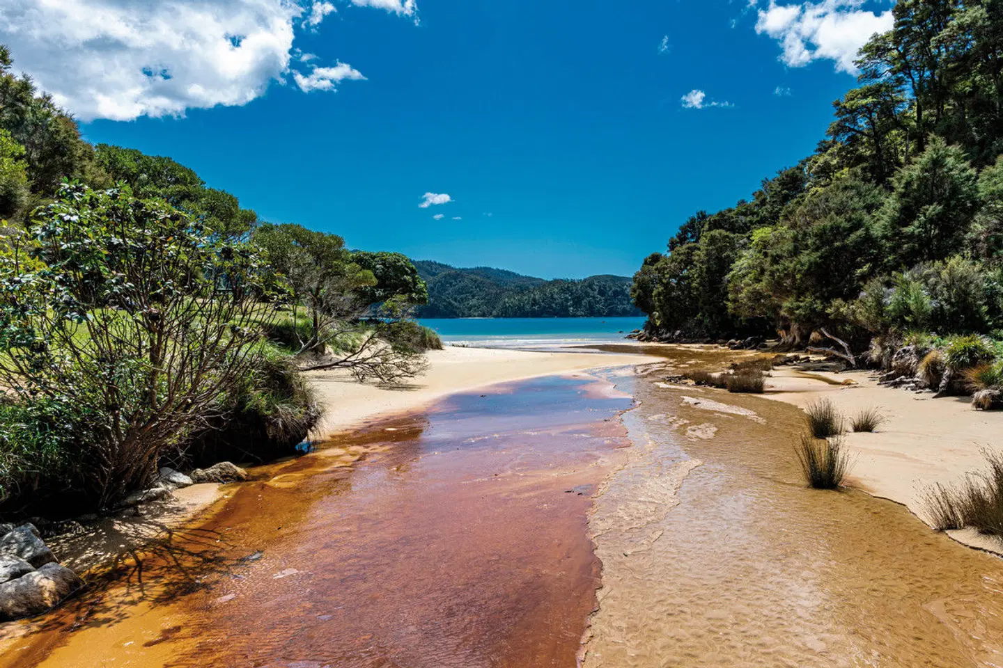 Neuseeland für Wanderfreunde Strand