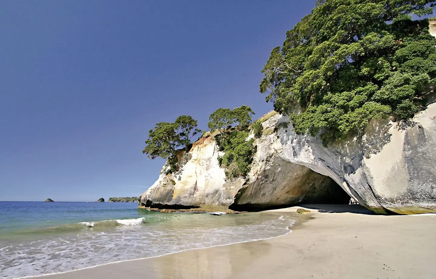 Neuseeland für Wanderfreunde Tiere