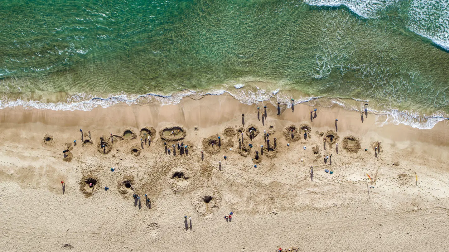 Zu Hause in Neuseeland ab Christchurch Tiere