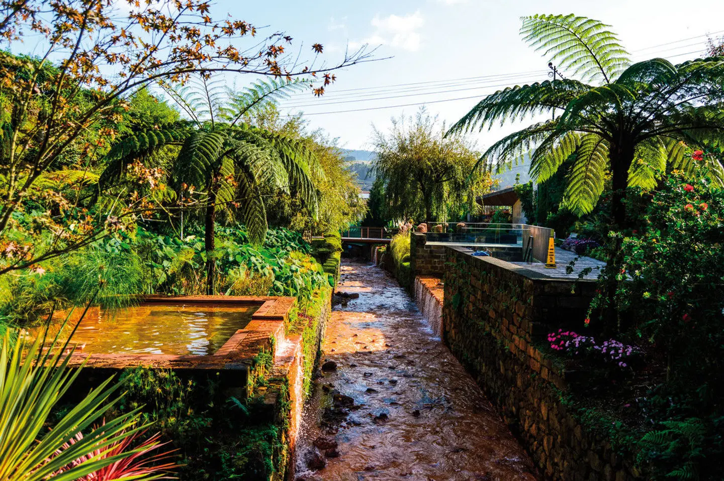 São Miguel - Die Grüne Insel der Azoren Garten
