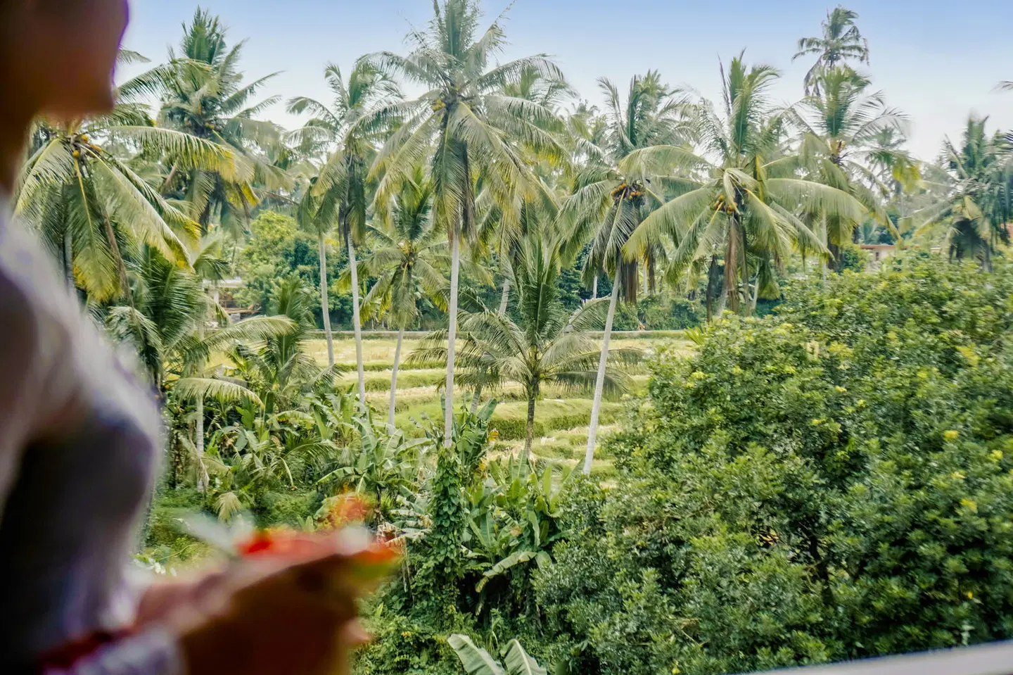 Sakti Garden Resort & Spa Garten