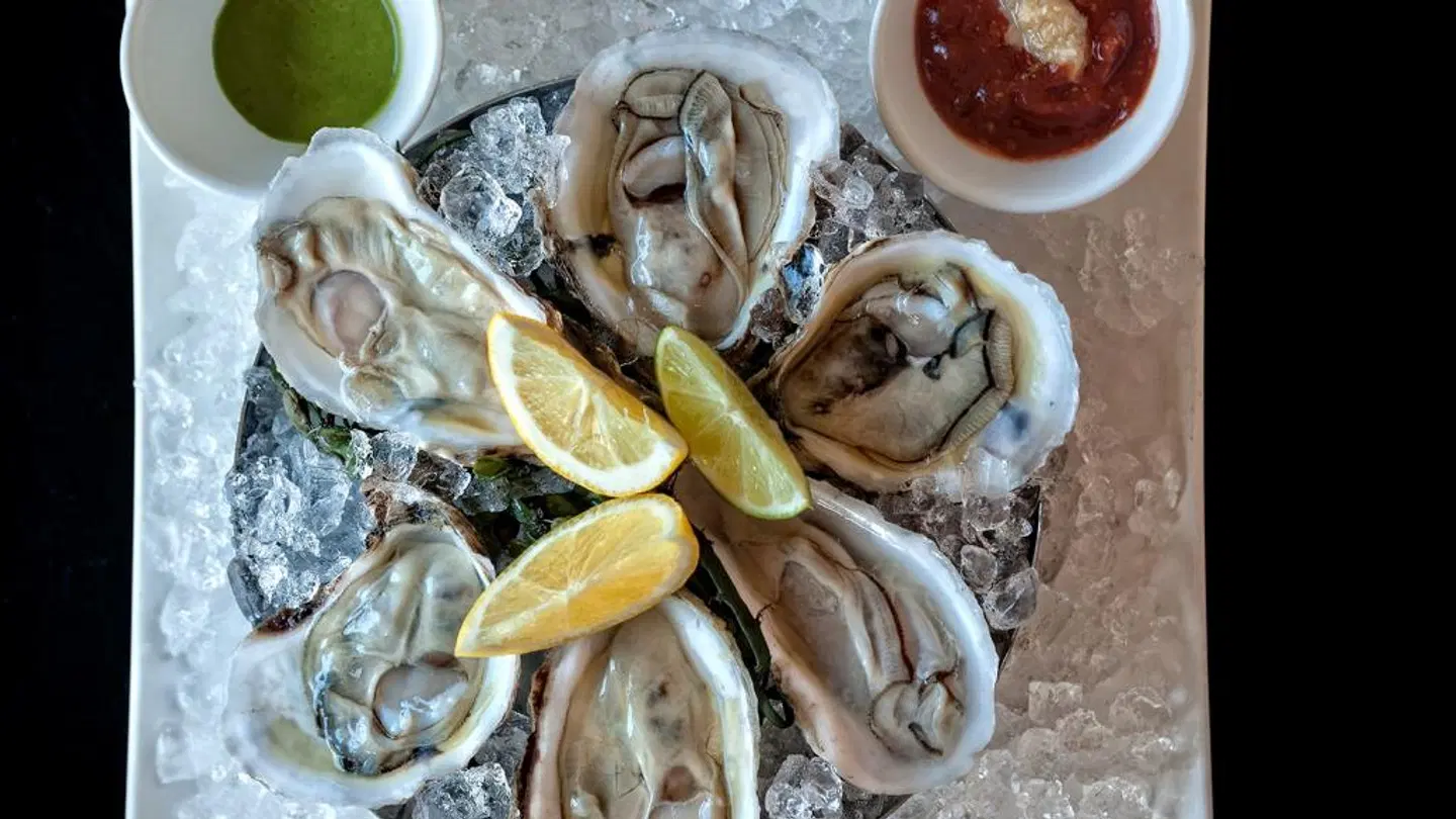 Four Seasons Boston Tiere