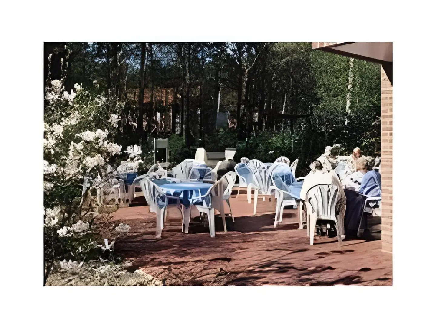 Hotel Ilmenautal Restaurant