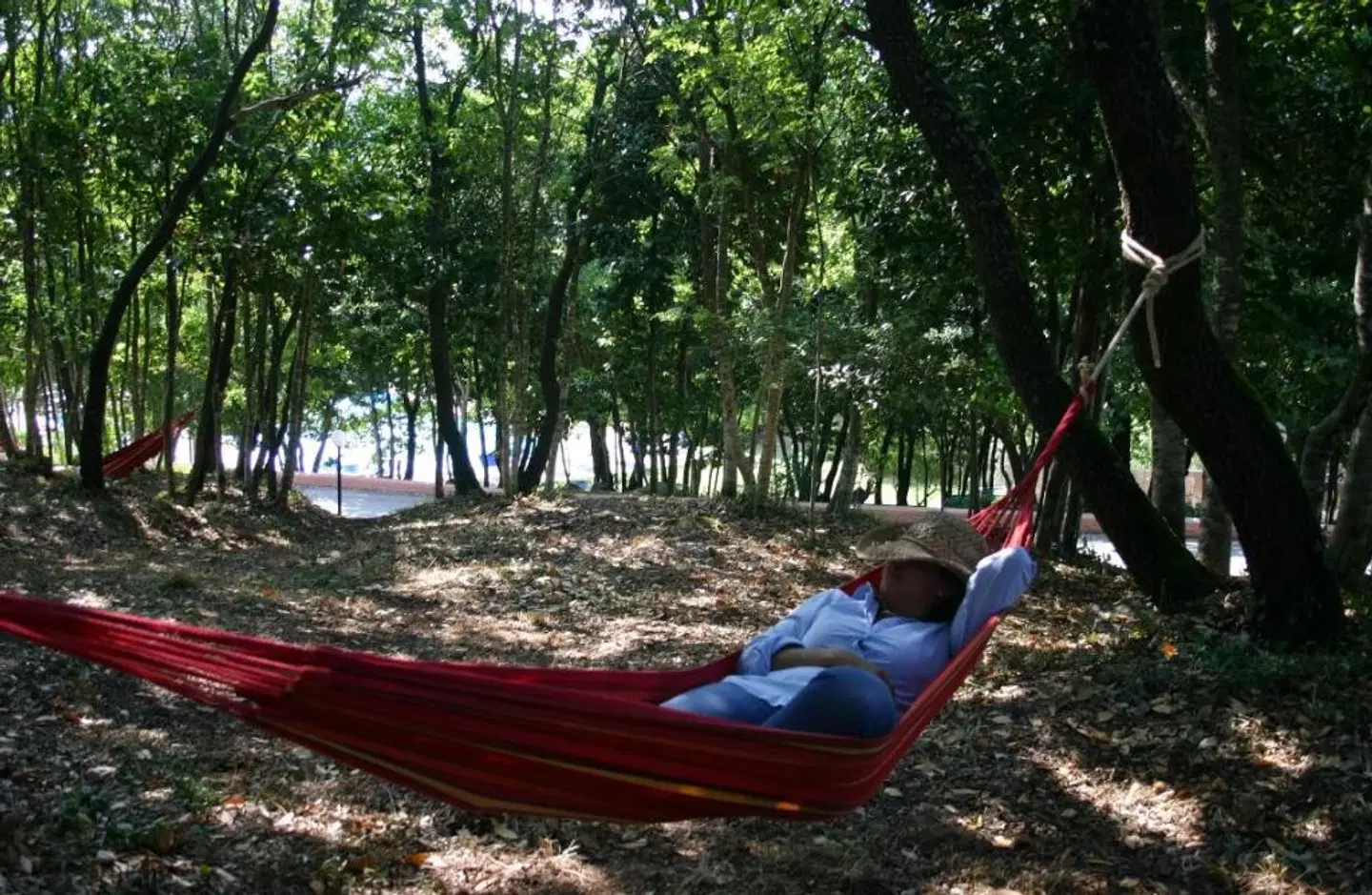 Pausania Inn LANDSCAPE