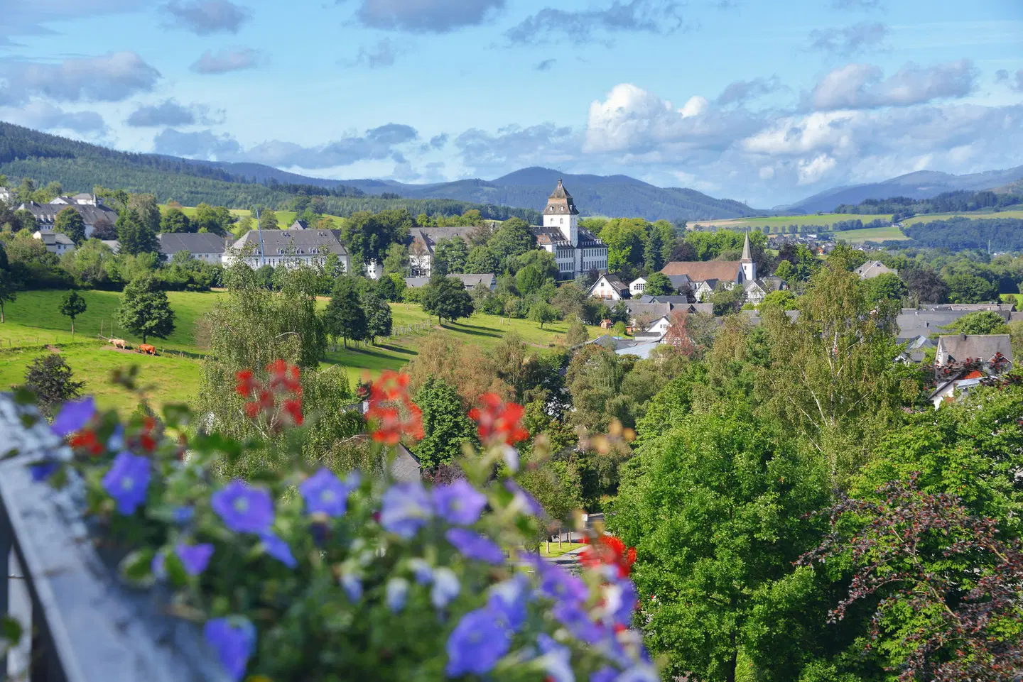 Sauerland Alpin Hotel LANDSCAPE