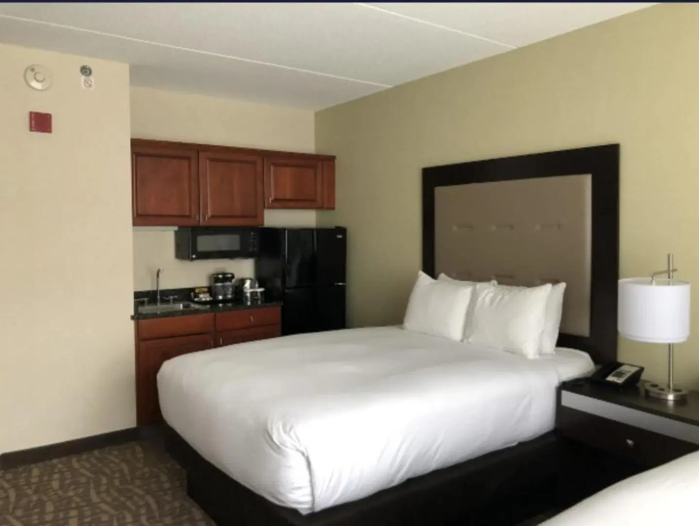 Wyndham Garden Buffalo Downtown ROOM_EXAMPLE