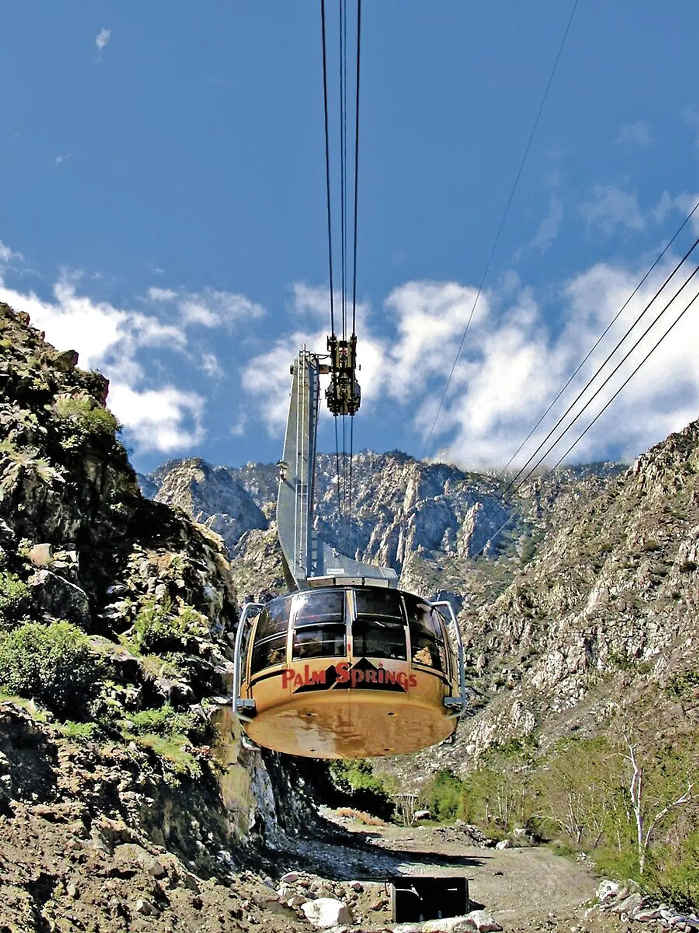 Western Express & Hawaii Maui Terrasse