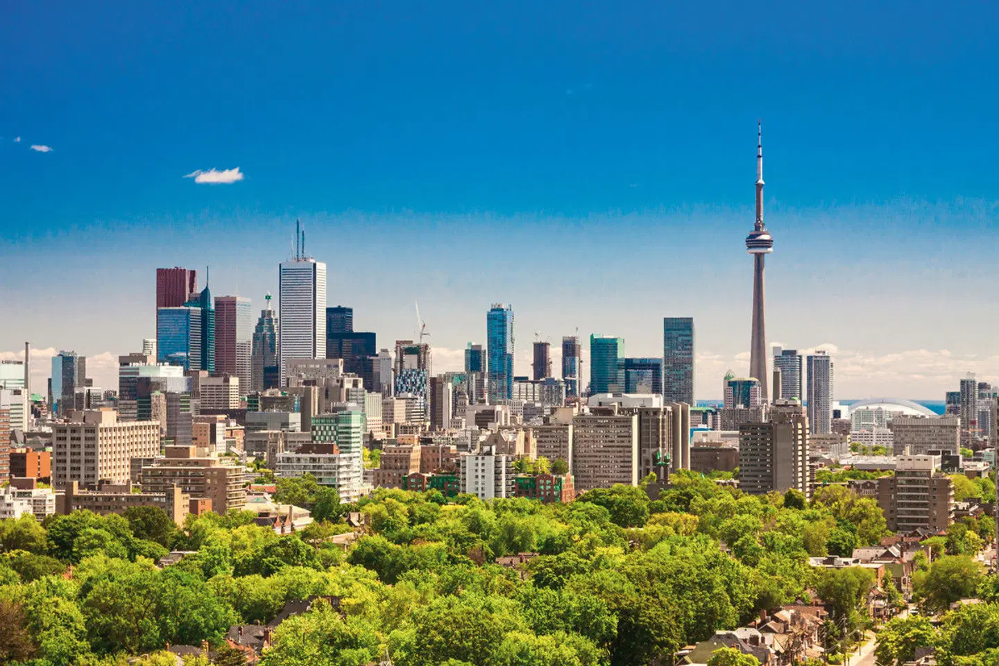 The Canadian Discovery Garten