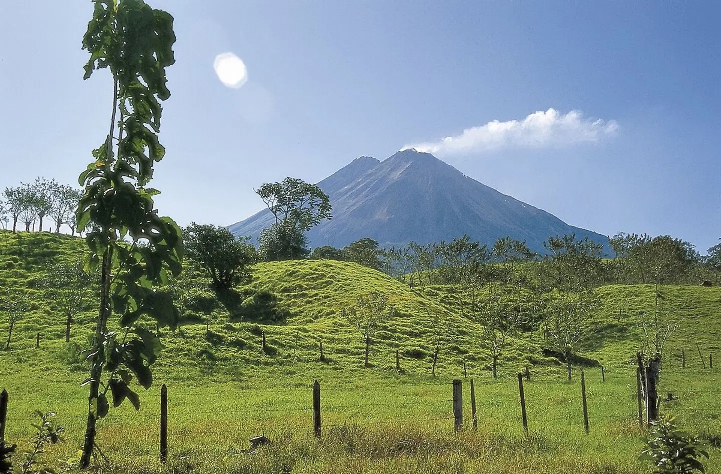 Tropisches Abenteuer LANDSCAPE