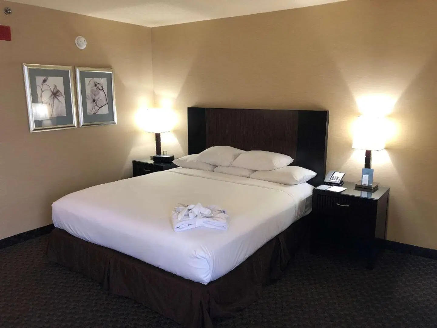 Radisson Hotel JFK Airport ROOM_EXAMPLE