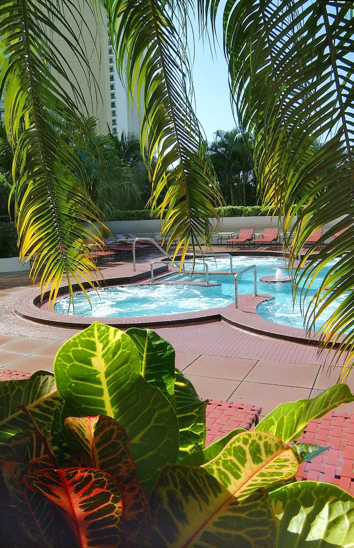 DoubleTree by Hilton Grand Hotel Biscayne Bay OUTDOOR_POOL
