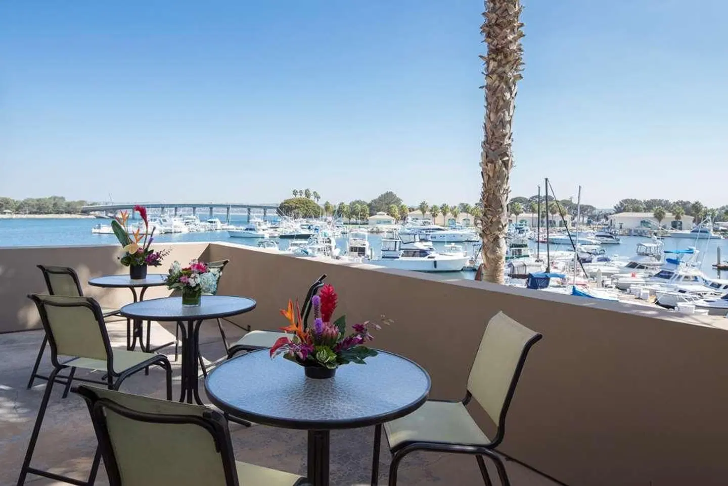 The Dana on Mission Bay Terrasse