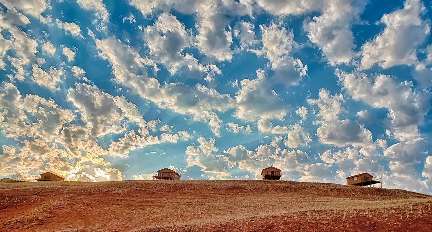 Namib Dune Star Camp Tiere