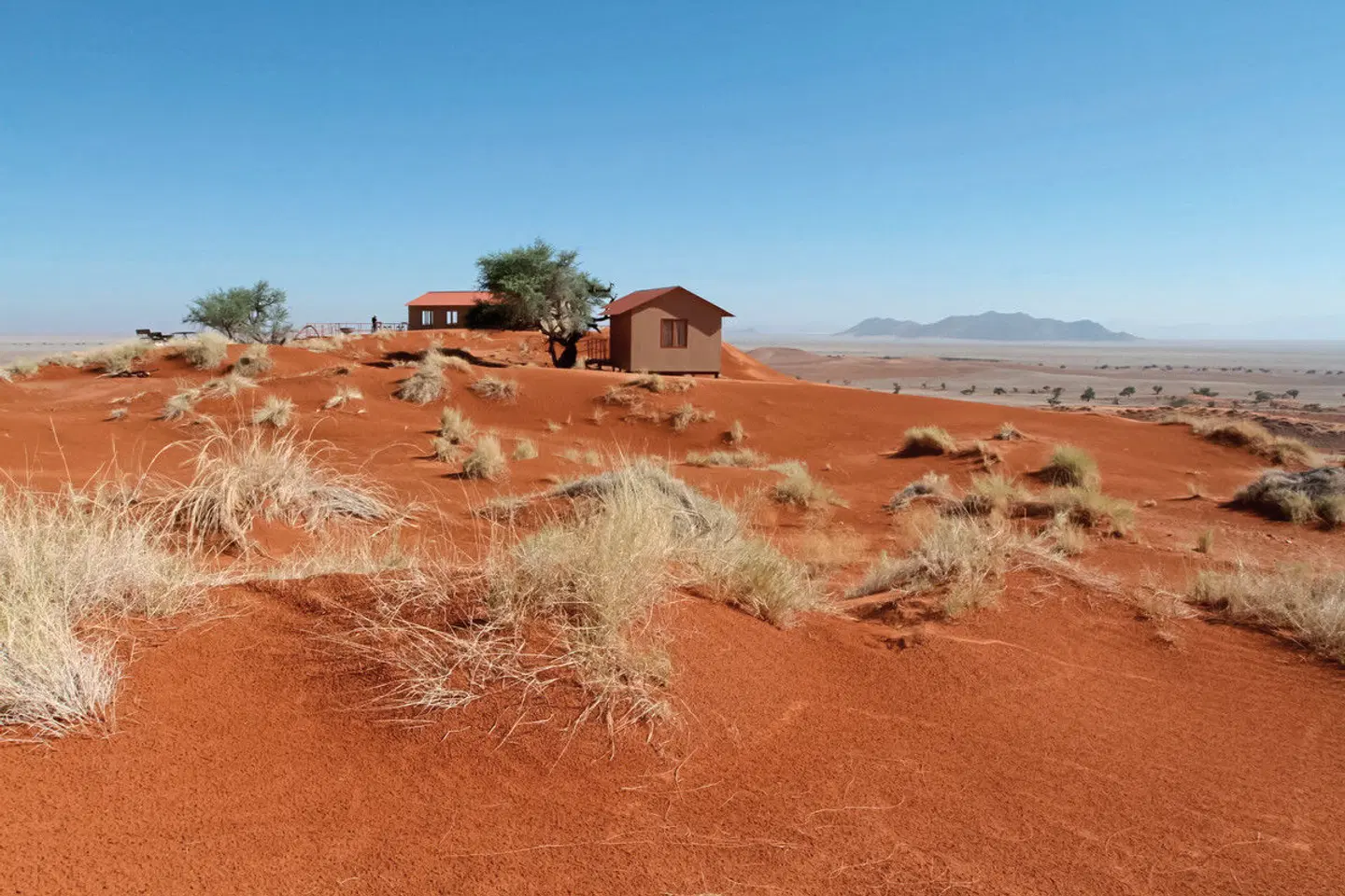 Namib Dune Star Camp LANDSCAPE