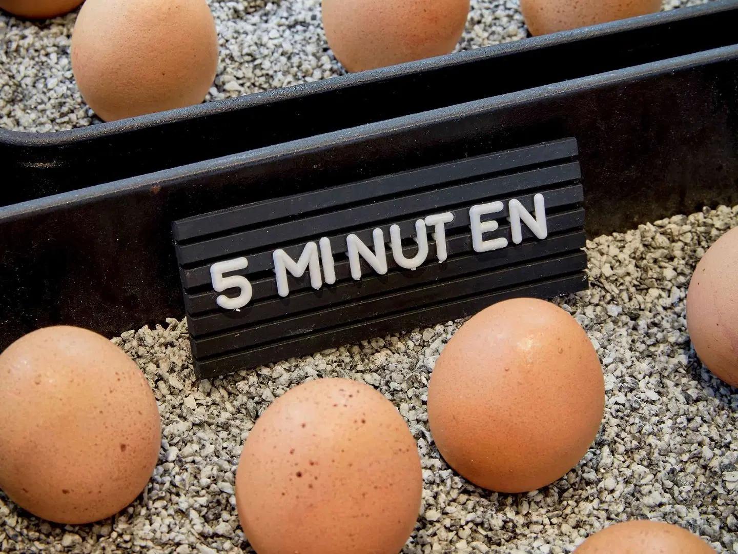 25hours Hotel Das Tour LOUNGE_LOBBY