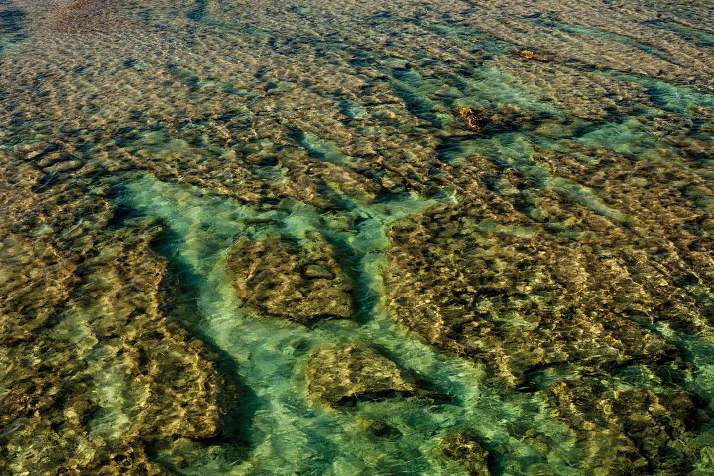 Erlebnis Cook Islands LANDSCAPE