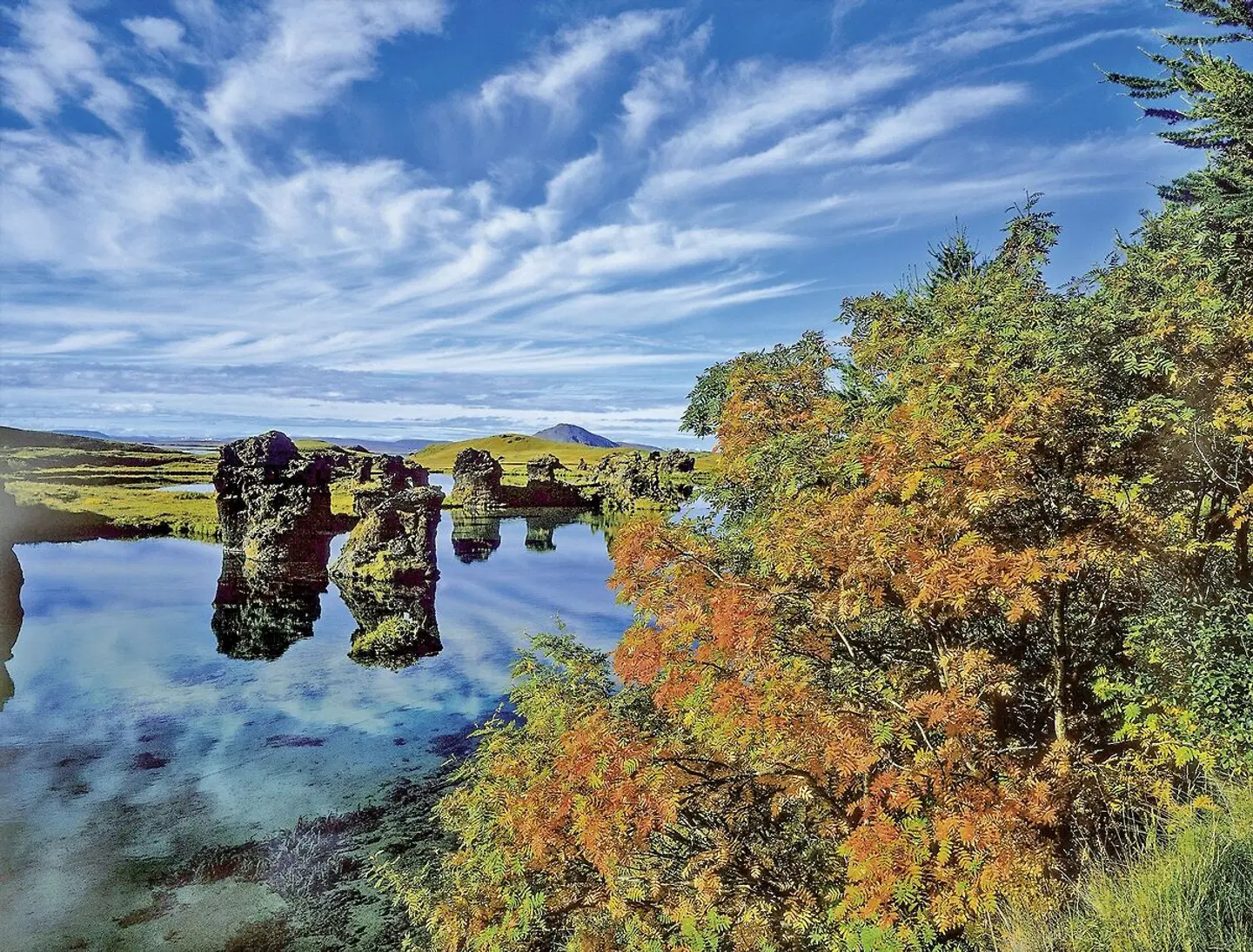 Familienspaß auf Farmen LANDSCAPE