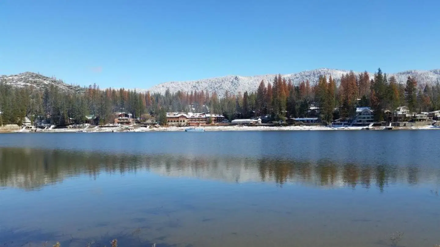 The Pines Resort OUTDOOR_POOL