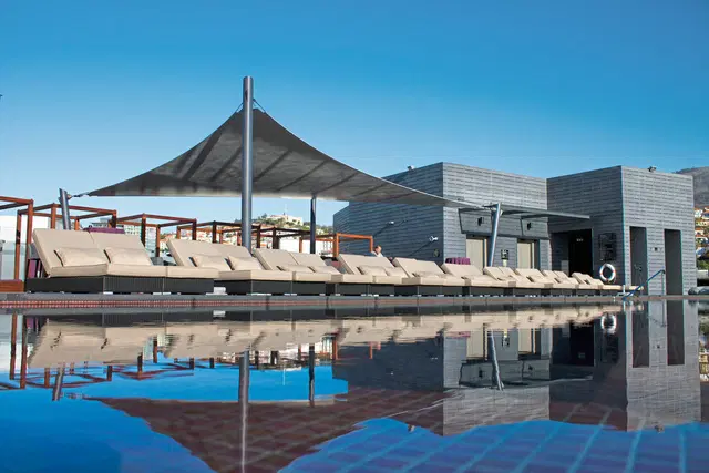 The Vine OUTDOOR_POOL