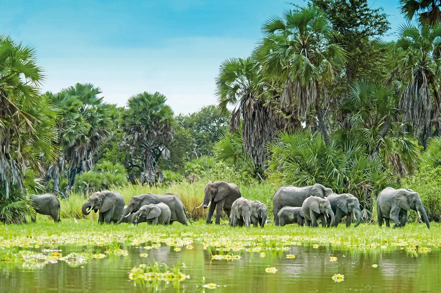 Tansanias Zauber Tiere