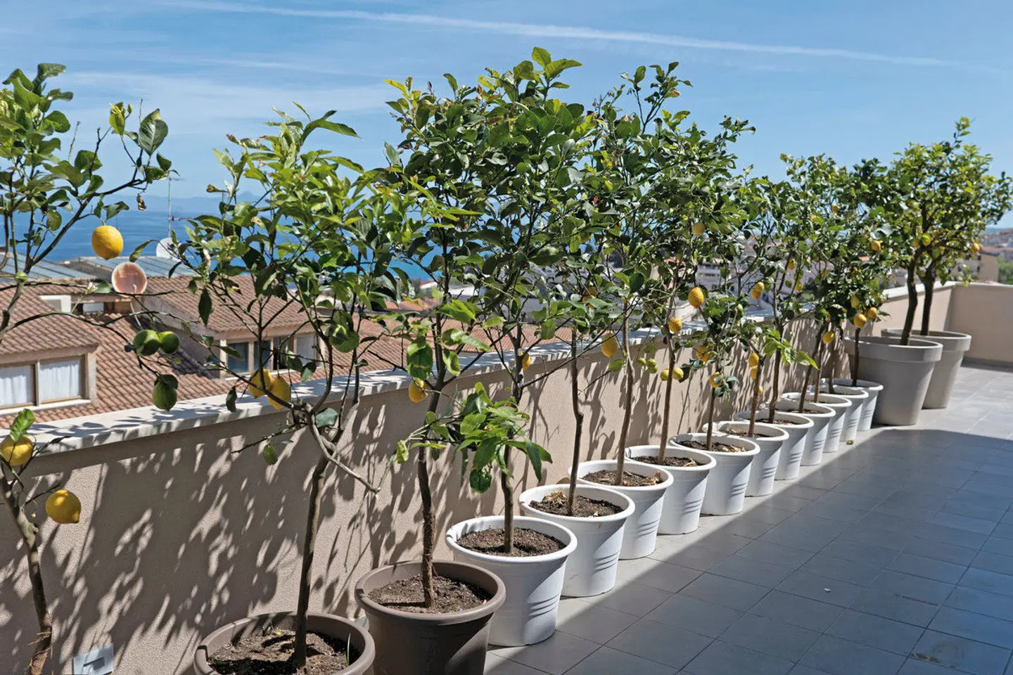 Middle Town Palace Tropea Terrasse