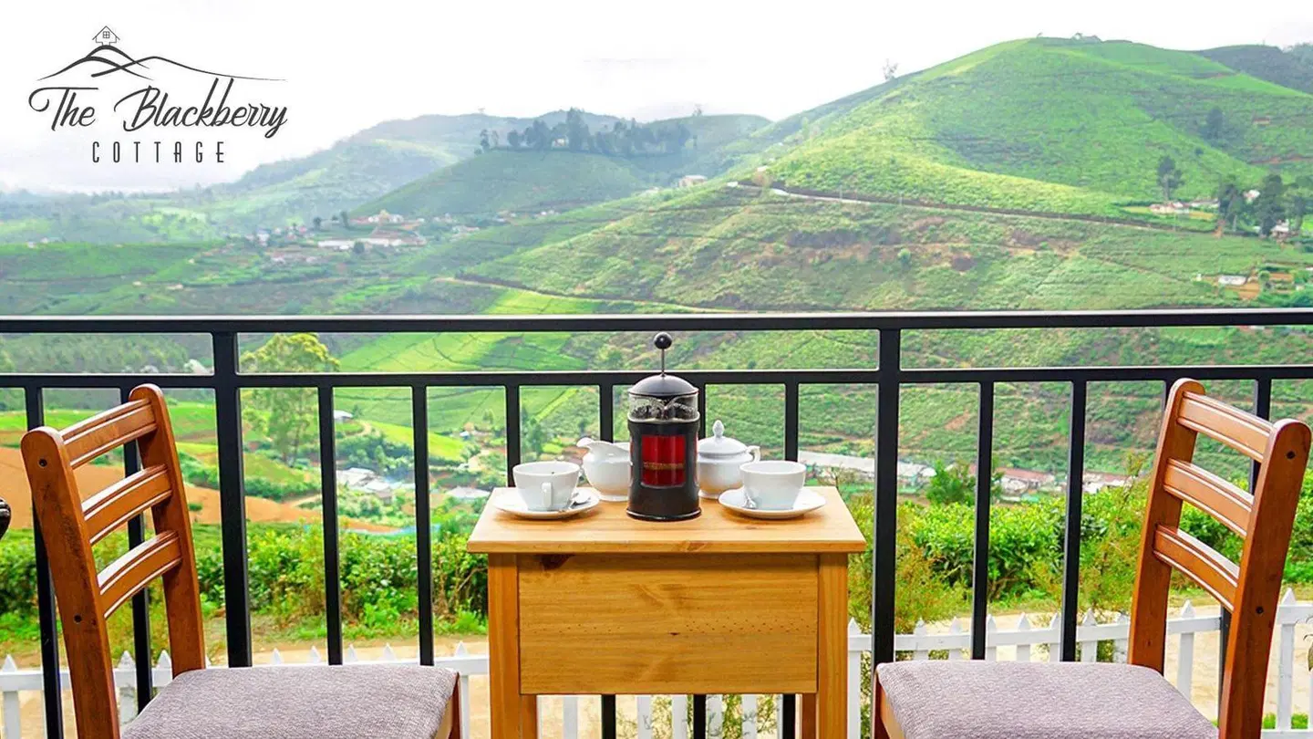 The Blackberry Cottage Terrasse