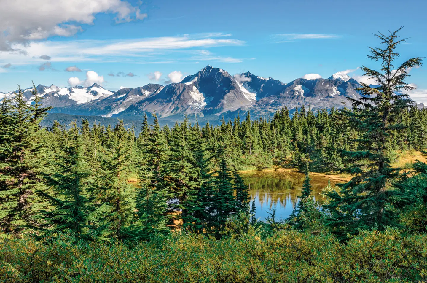 Coast Mountains des Nordens LANDSCAPE