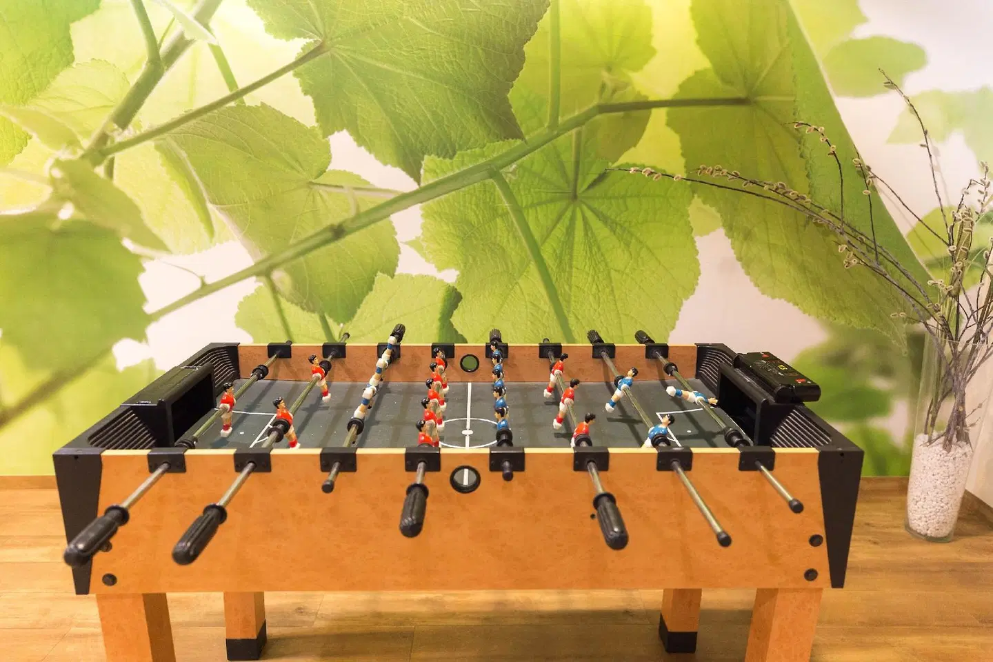 Kaiserhof Feldberg SPORTS_AND_LEISURE