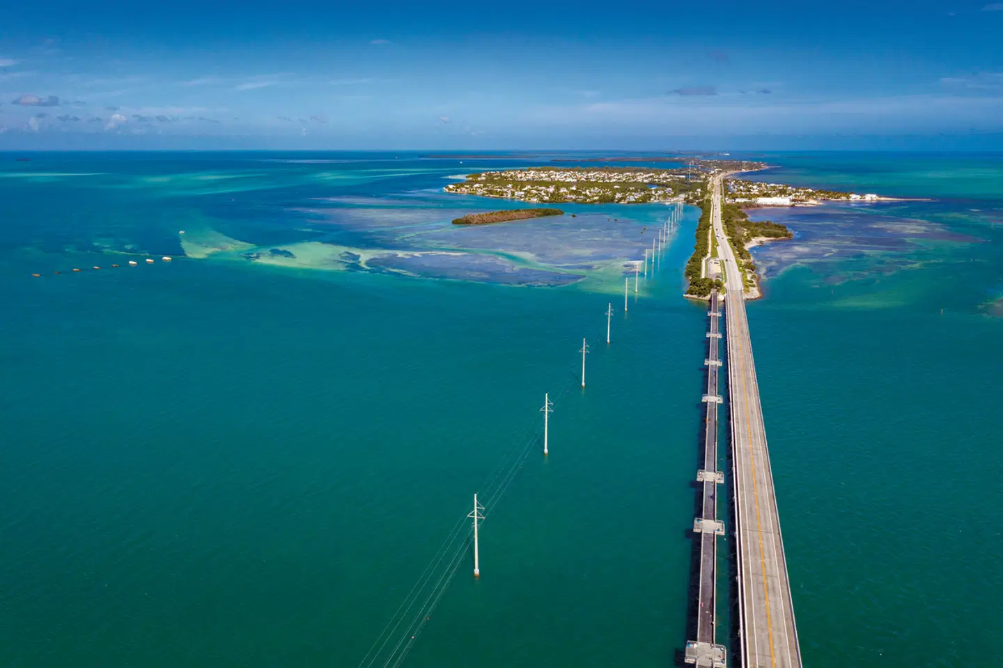 Manhattan Express & Florida Sunshine State LANDSCAPE