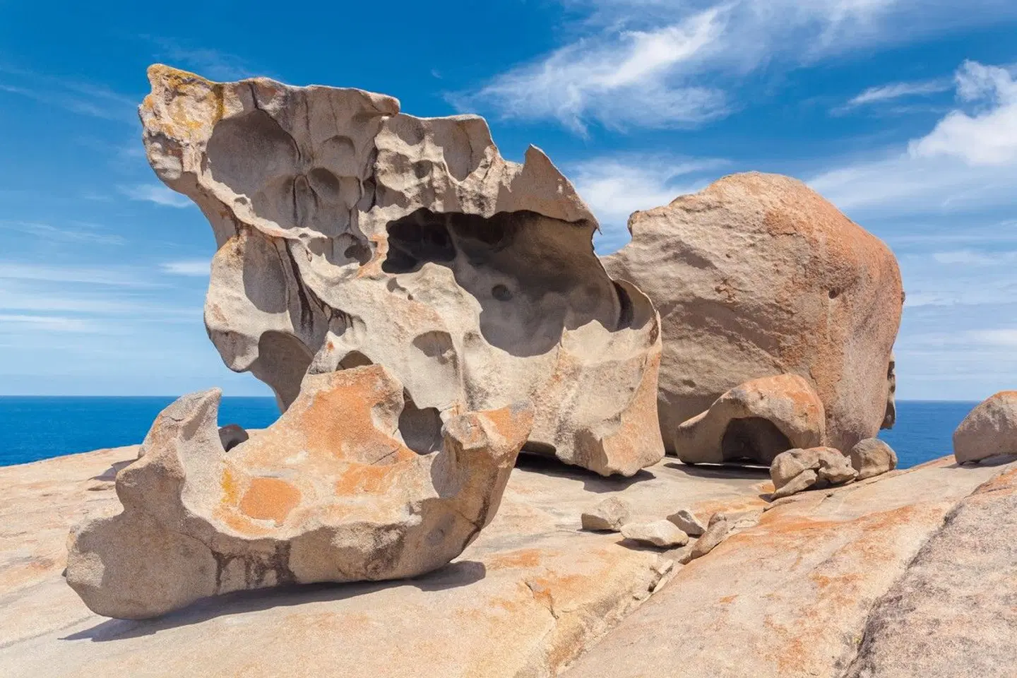 Faszination des Südens Tiere