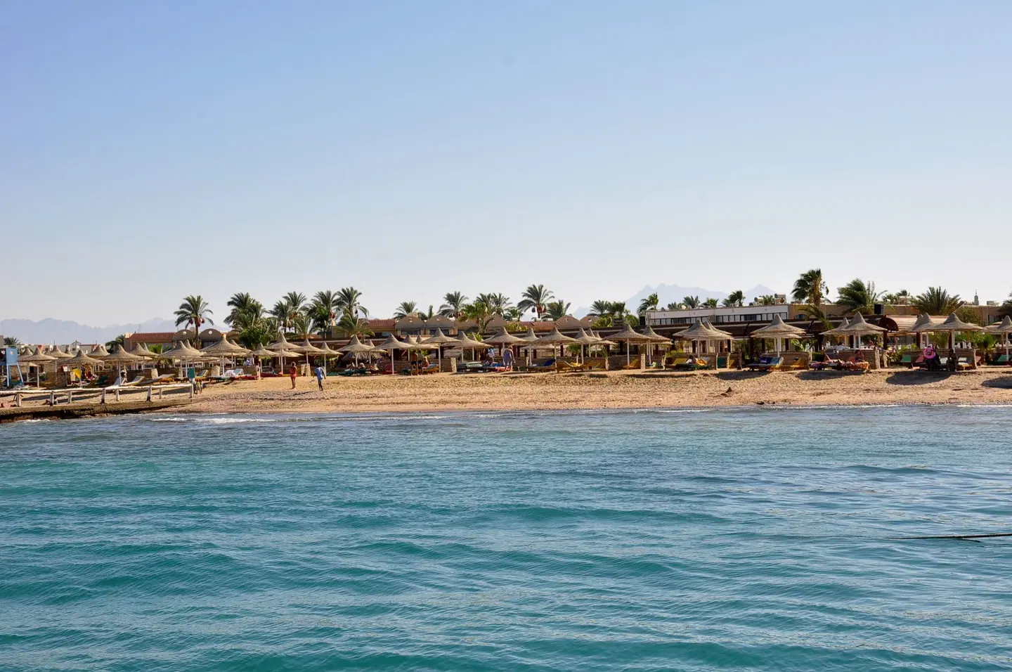 Aladdin Beach Resort Tiere