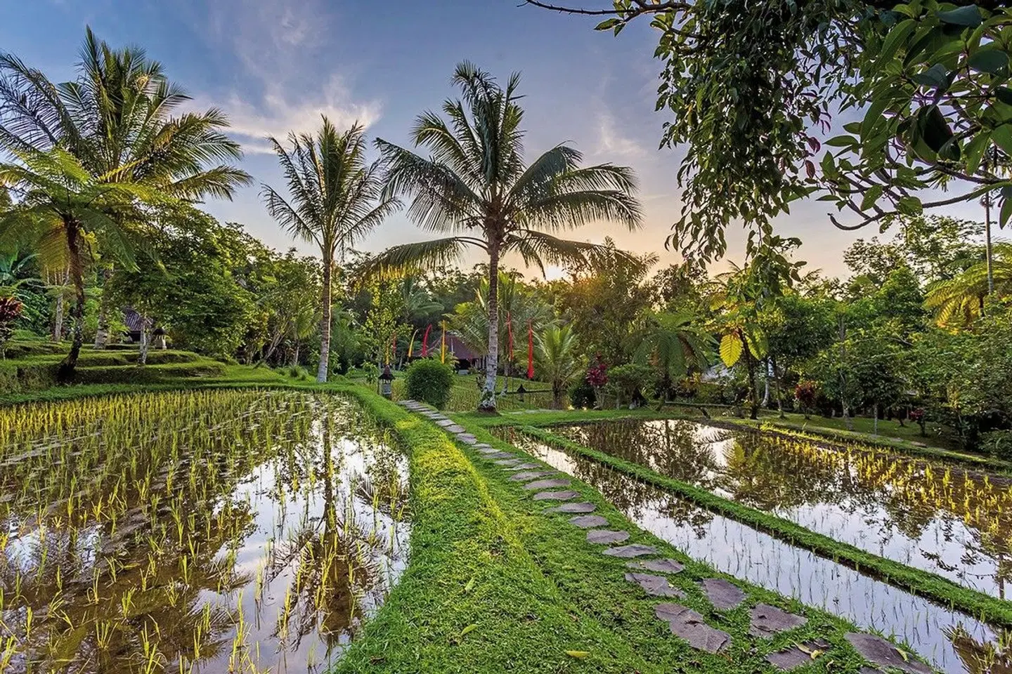 Bali einmal anders (Privatreise) Garten