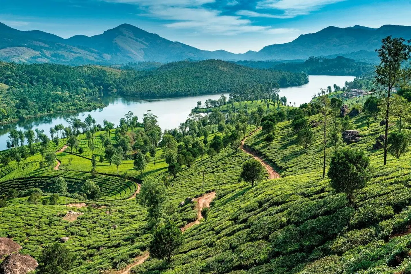 Kerala zum Verweilen LANDSCAPE