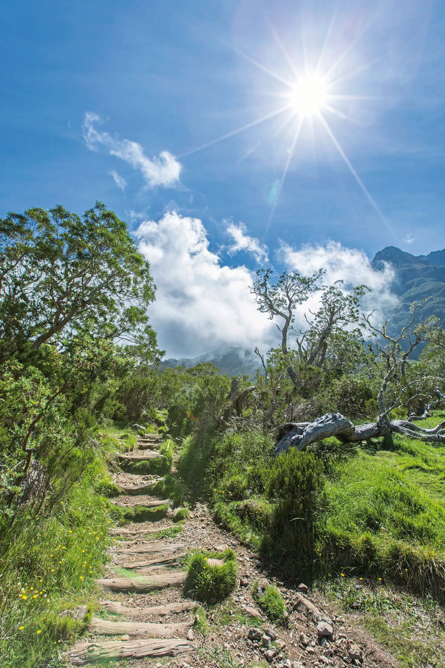 Der Talkessel Mafate: Einzigartiges Wanderparadies LANDSCAPE