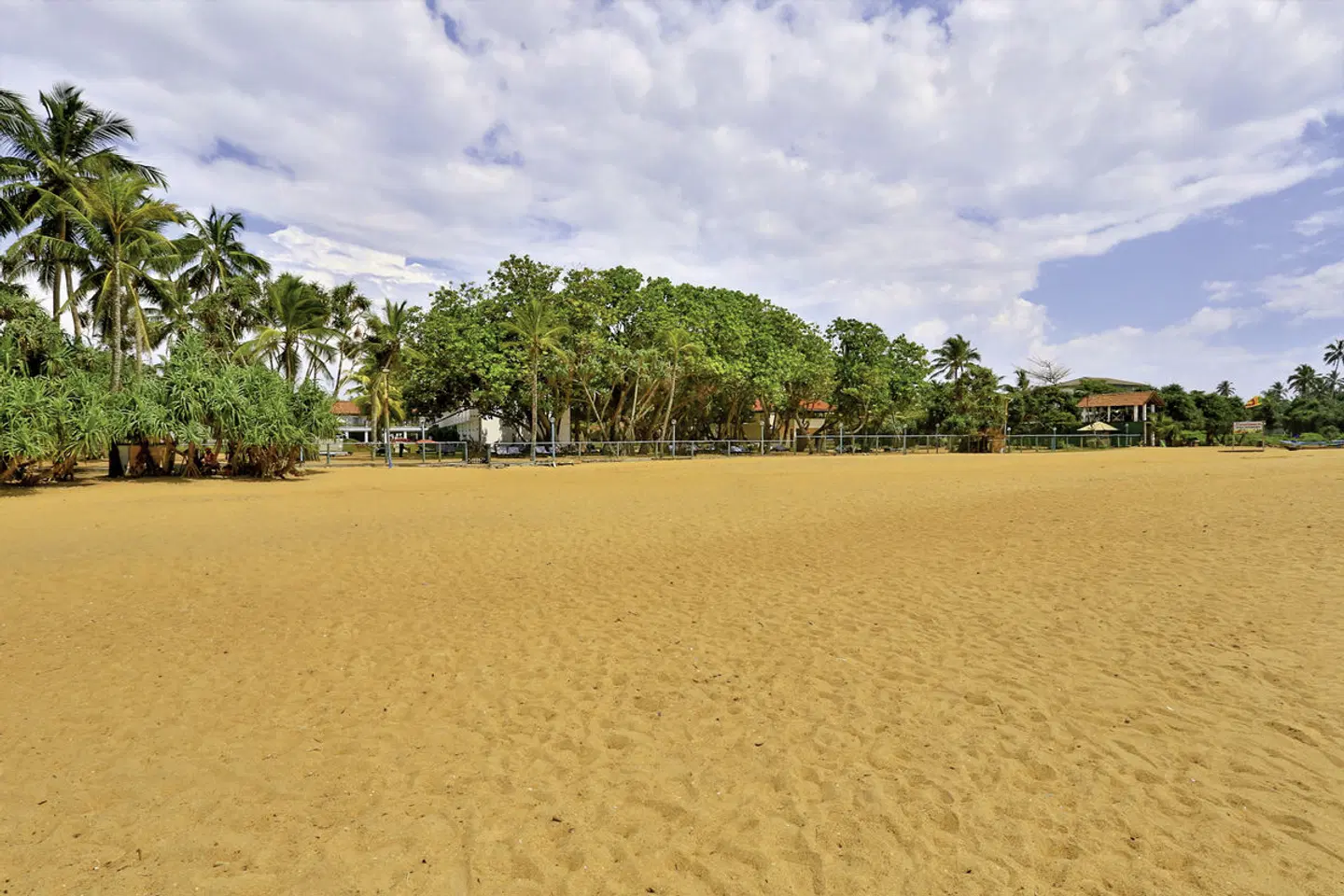 Hibiscus Beach Hotel LANDSCAPE