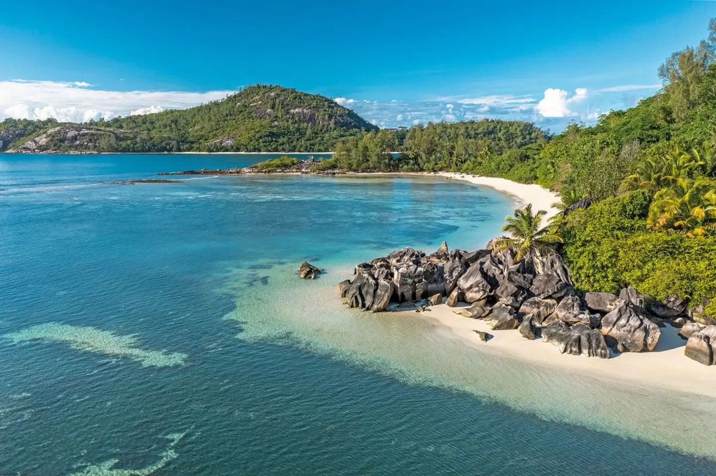 Constance Ephelia LANDSCAPE